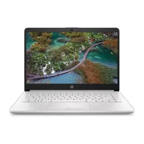 HP 14-cf2517sa Laptop - Intel Pentium Gold 6405U, 4GB RAM, 128GB SSD, Silver