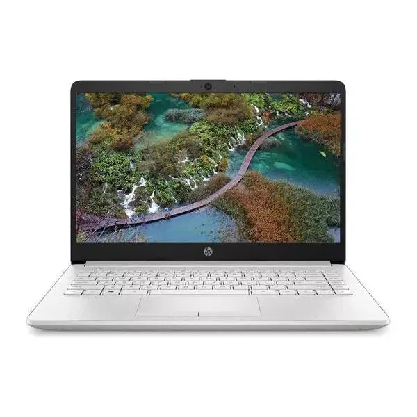 HP 14-cf2517sa Laptop - Intel Pentium Gold 6405U, 4GB RAM, 128GB SSD, Silver